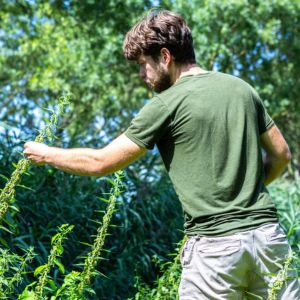 Wilde planten plukken in de natuur